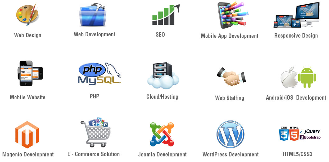  Web Design and Development Company